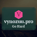 vynozuu.pro